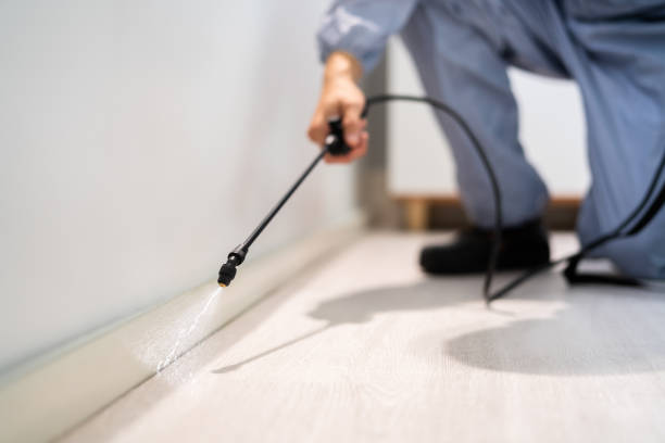 Licensed Termite Control service in Mercer County County, ND - Nex Pest Control