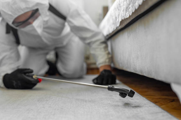 Professional Termite Control technician working in Mercer County County, ND